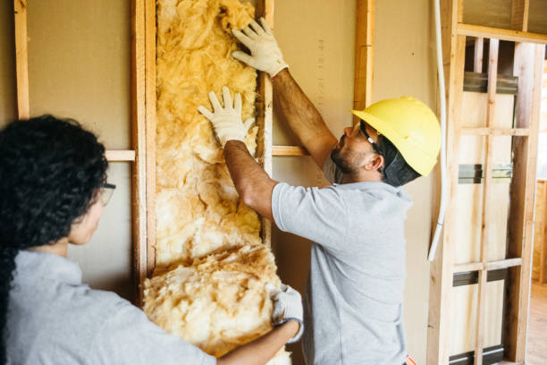 Eco-Friendly or Green Insulation Solutions in Wautoma, WI