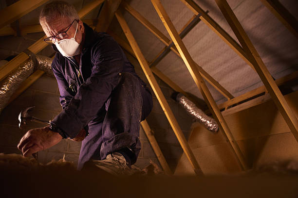 Best Attic Insulation Installation  in Wautoma, WI